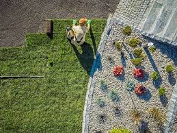 Peyzaj ve Yeşil Alan